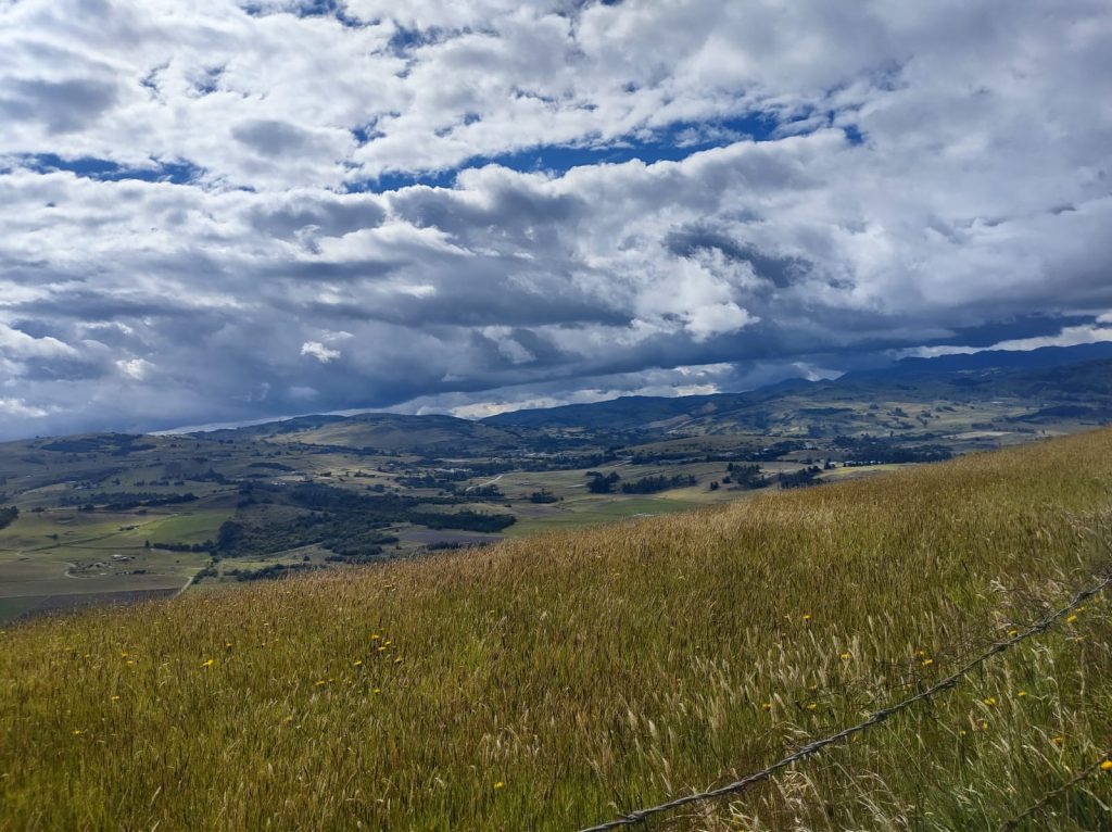 Imagen de WhatsApp 2025-11-16 a las 17.02.54_4a437b00