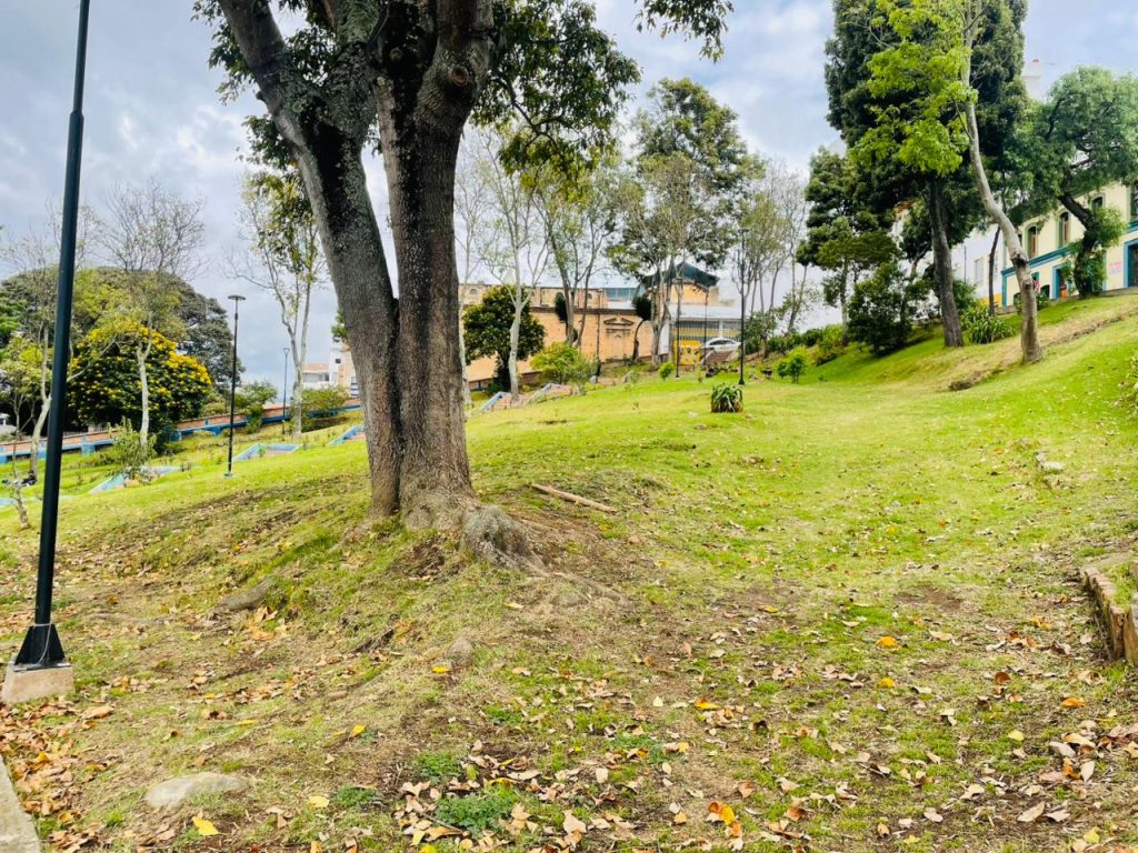 Imagen de WhatsApp 2025-11-16 a las 17.02.58_cf47afb8