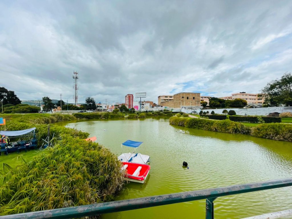 Imagen de WhatsApp 2025-11-16 a las 17.03.00_a2ca9b88