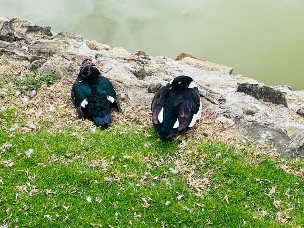 Imagen de WhatsApp 2025-11-16 a las 17.03.05_bb4acceb